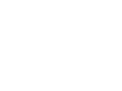 American Hospital