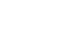 ICON Plus